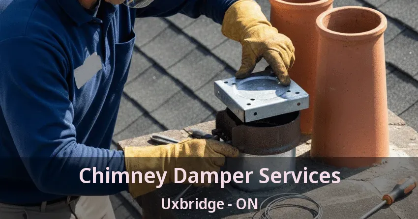 Chimney Damper Services Uxbridge - ON