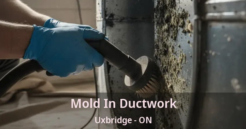 Mold In Ductwork Uxbridge - ON